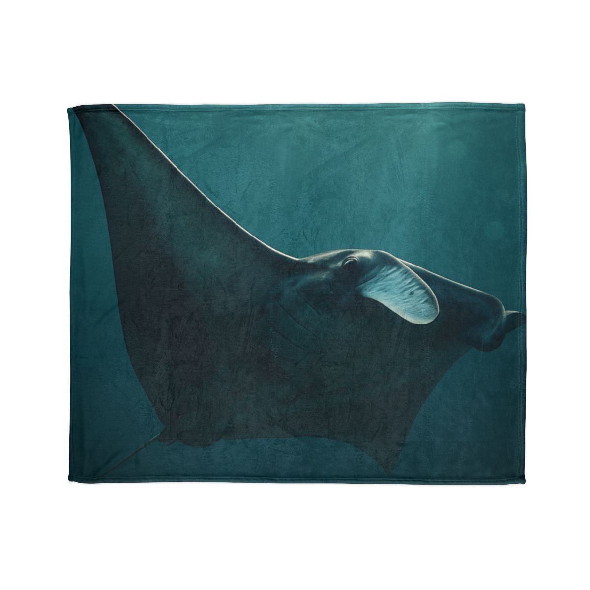 Glasswing Glide Manta Ray designer printed blankets