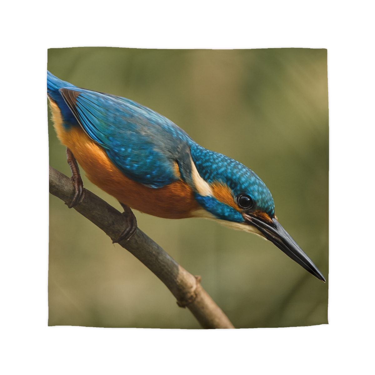 Kingfisher Sapphire Dive unique patterned duvets