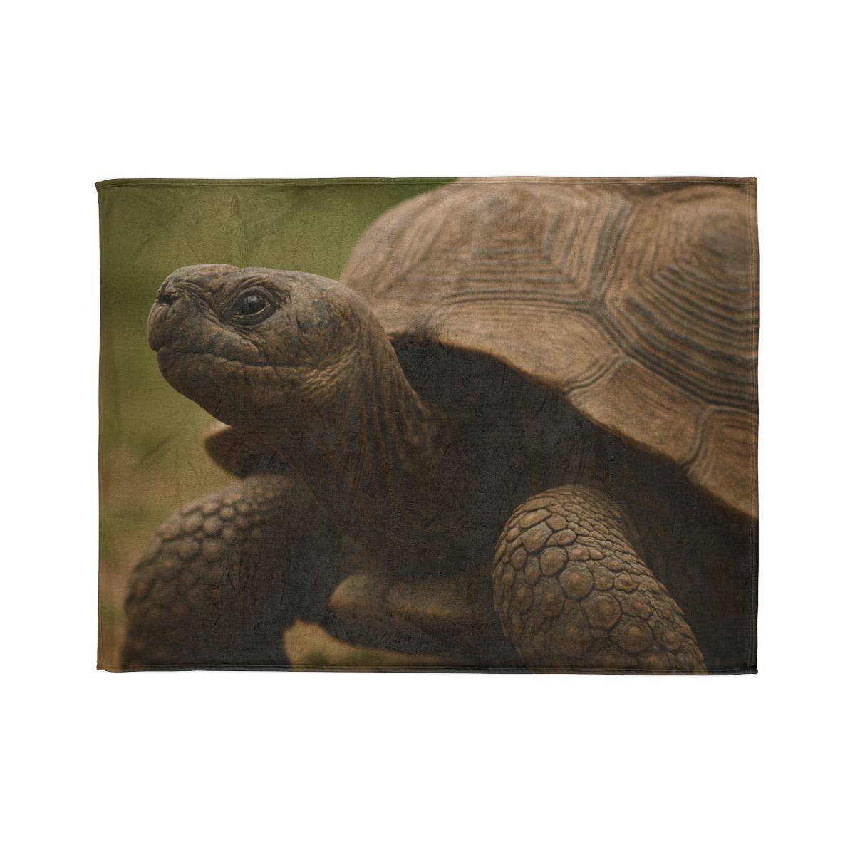 Giant Tortoise Timebound Gaze personalized cozy blankets