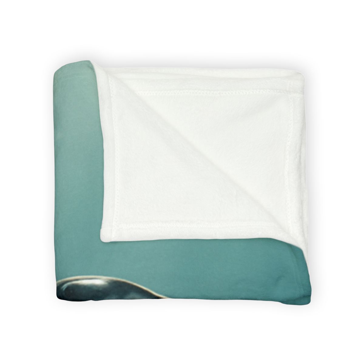 Silent Glide Giant Manta Ray custom blankets