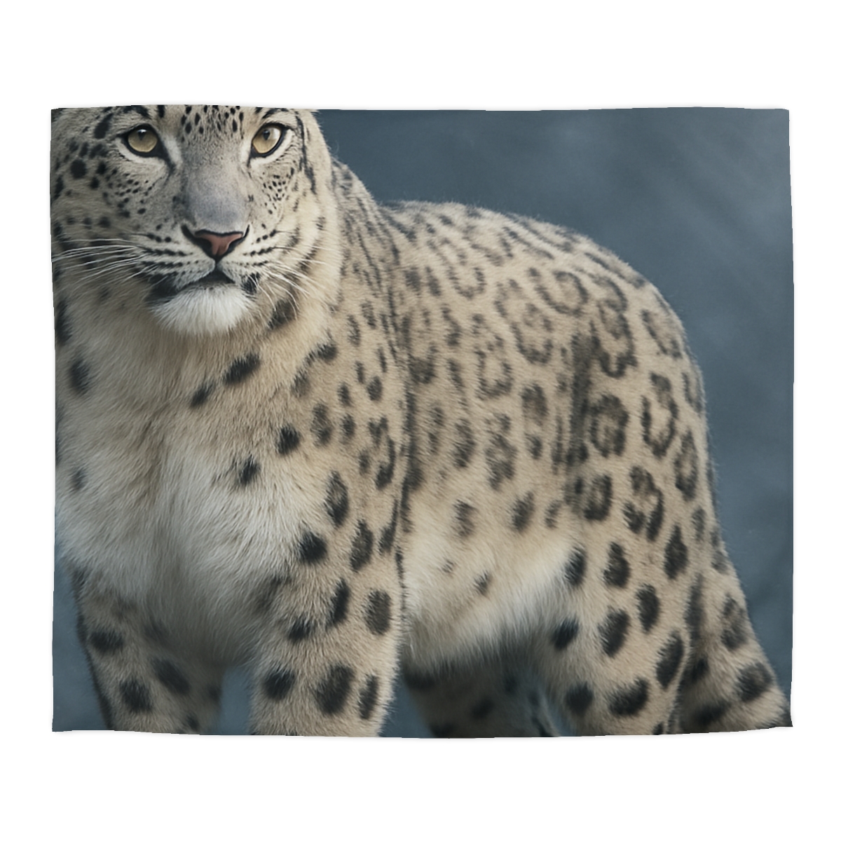 Aurora Gaze Snow Leopard personalized bedding duvets