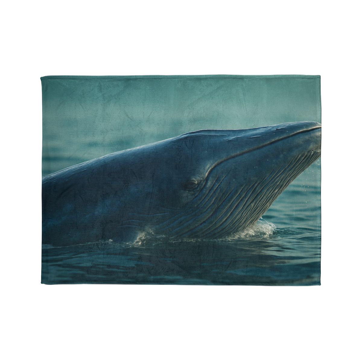 Ocean Song Blue Whale stylish throw blankets
