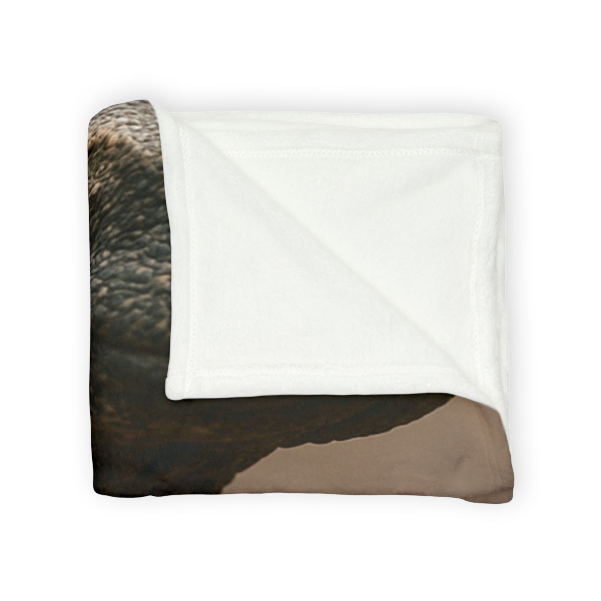 Ancient Sentinel Komodo Dragon soft fleece blankets