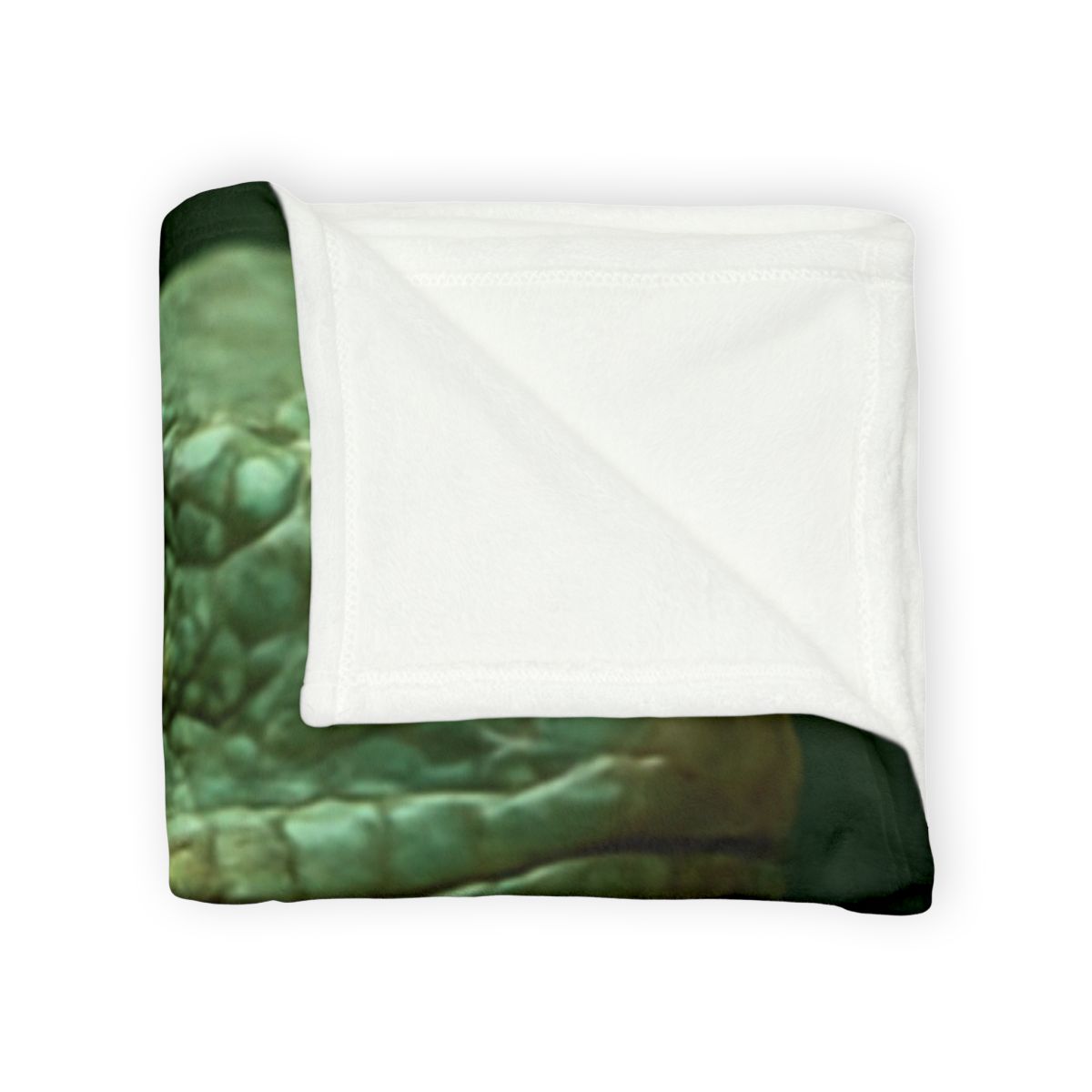Sunlit Perch Green Iguana unique gift blanketscustom blankets