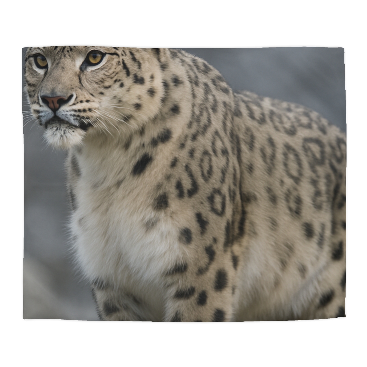 Snow Leopard Silent Summit designer printed duvets