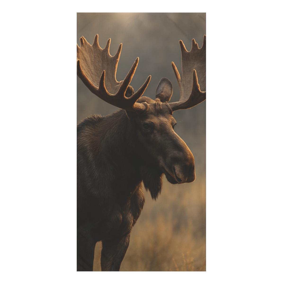 Ember Antlers Moose decorative home towels