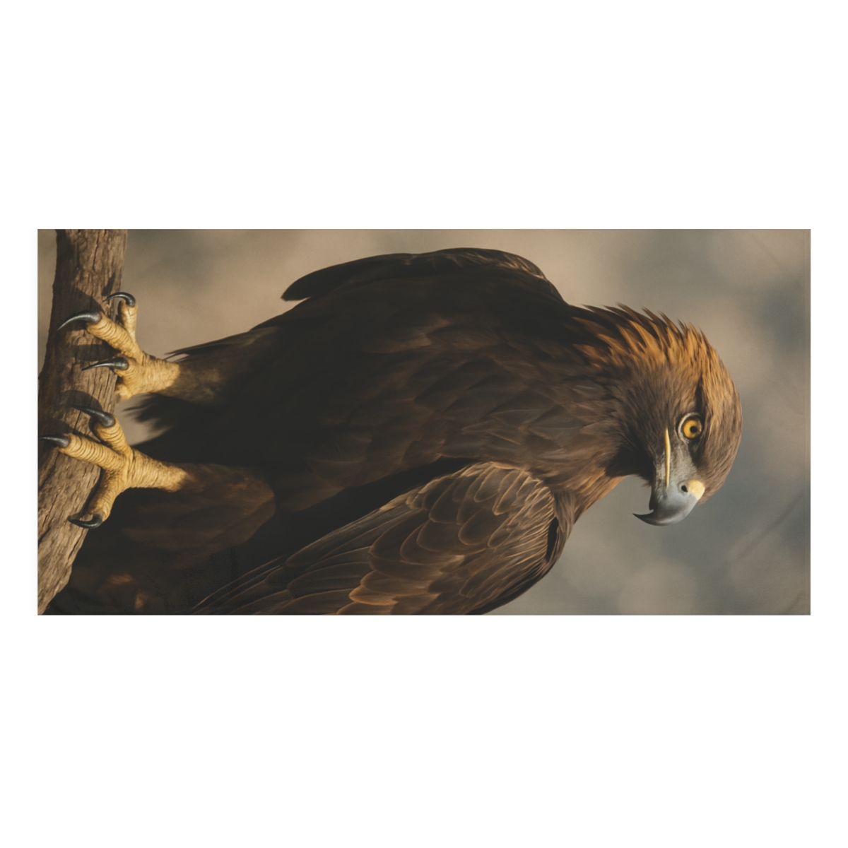 Ember Crest Golden Eagle unique gift towels