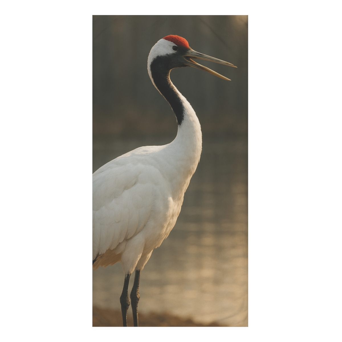 Ember Crown Red Crowned Crane comfortable face towels