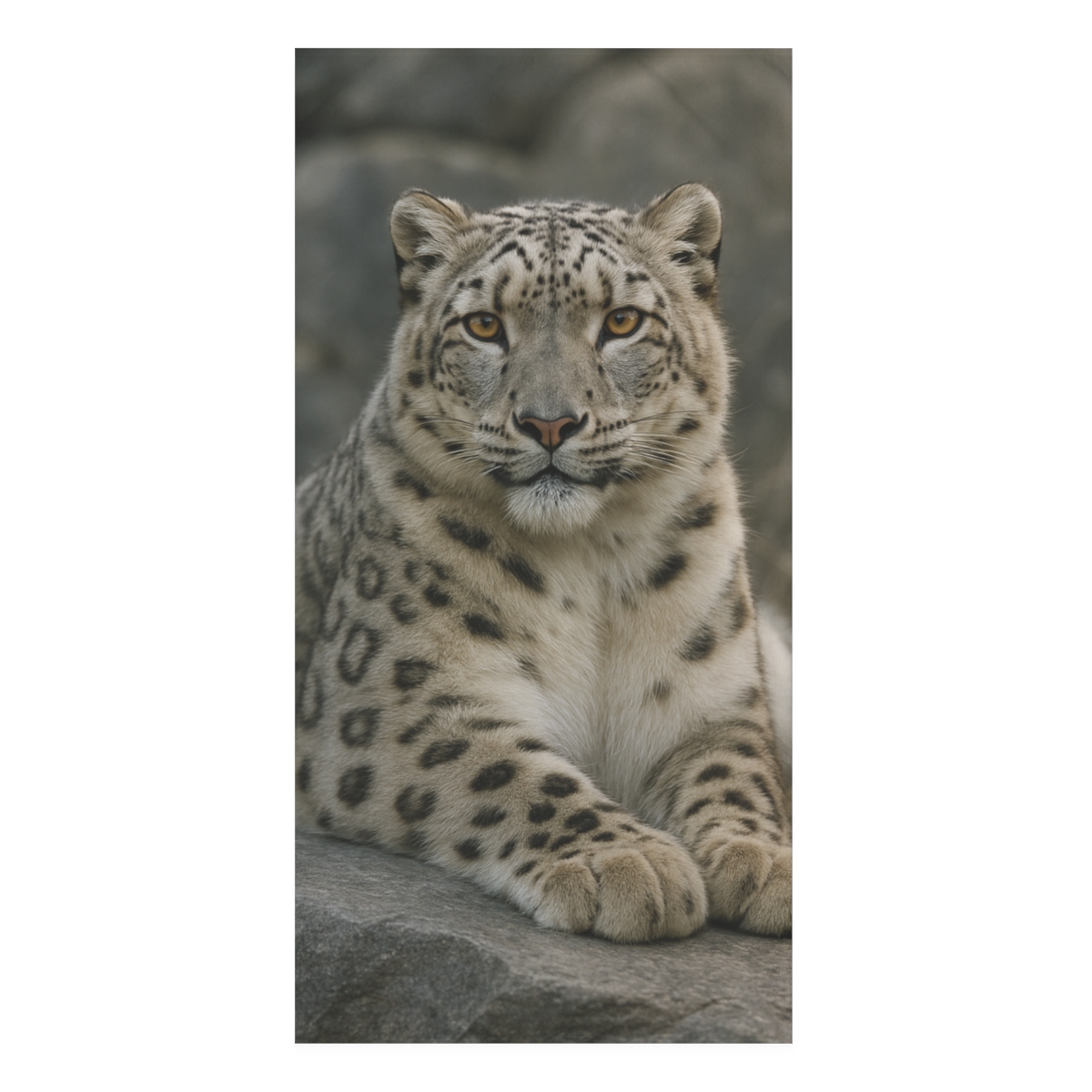 Ember Gaze Snow Leopard decorative home towelscustom towels