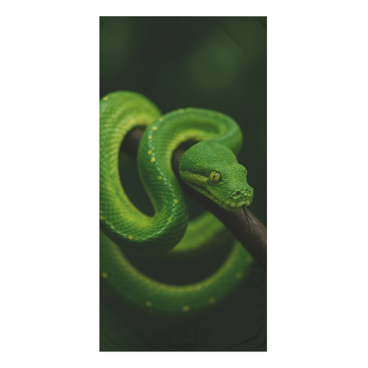 Emerald Coil Green Tree Python unique gift towels