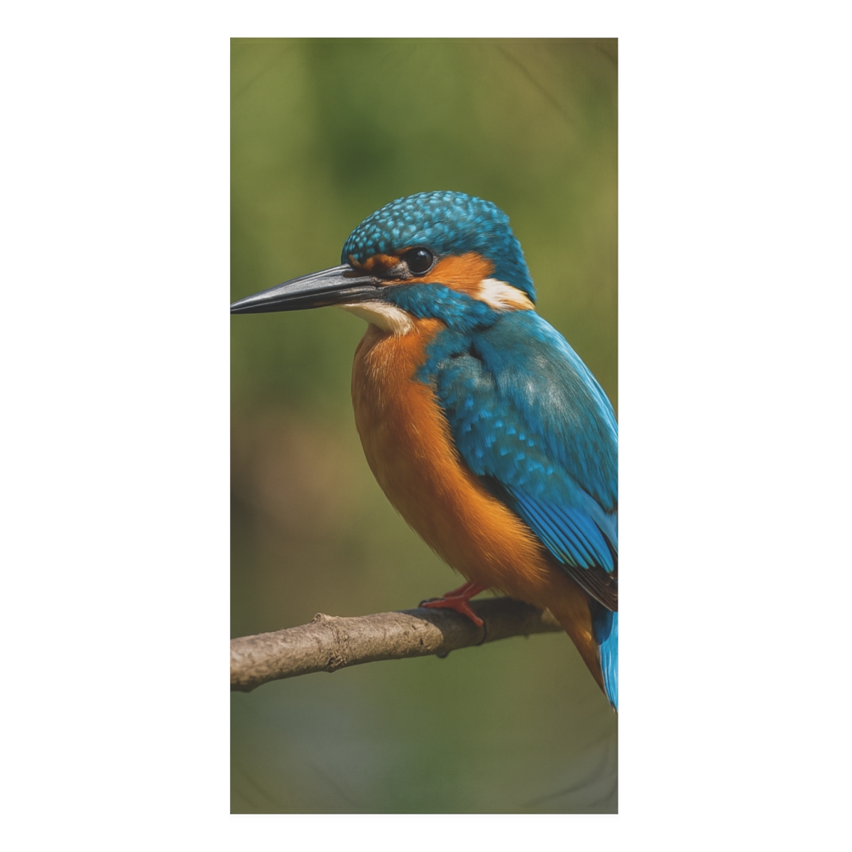Emerald Flash Kingfisher soft cotton towels