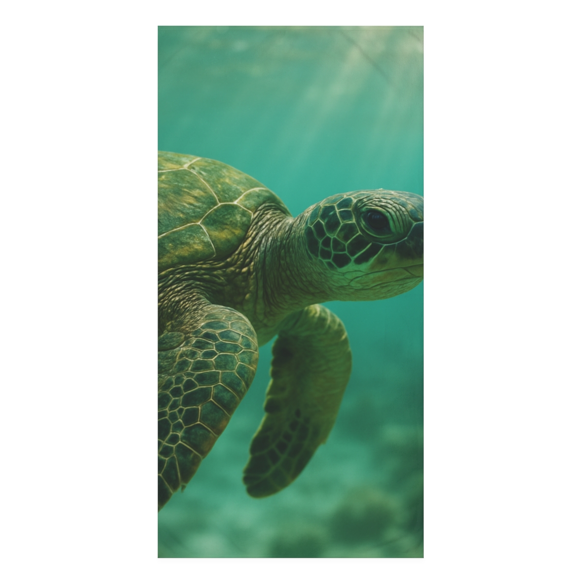 Emerald Watcher Green Sea Turtle personalized bath towels