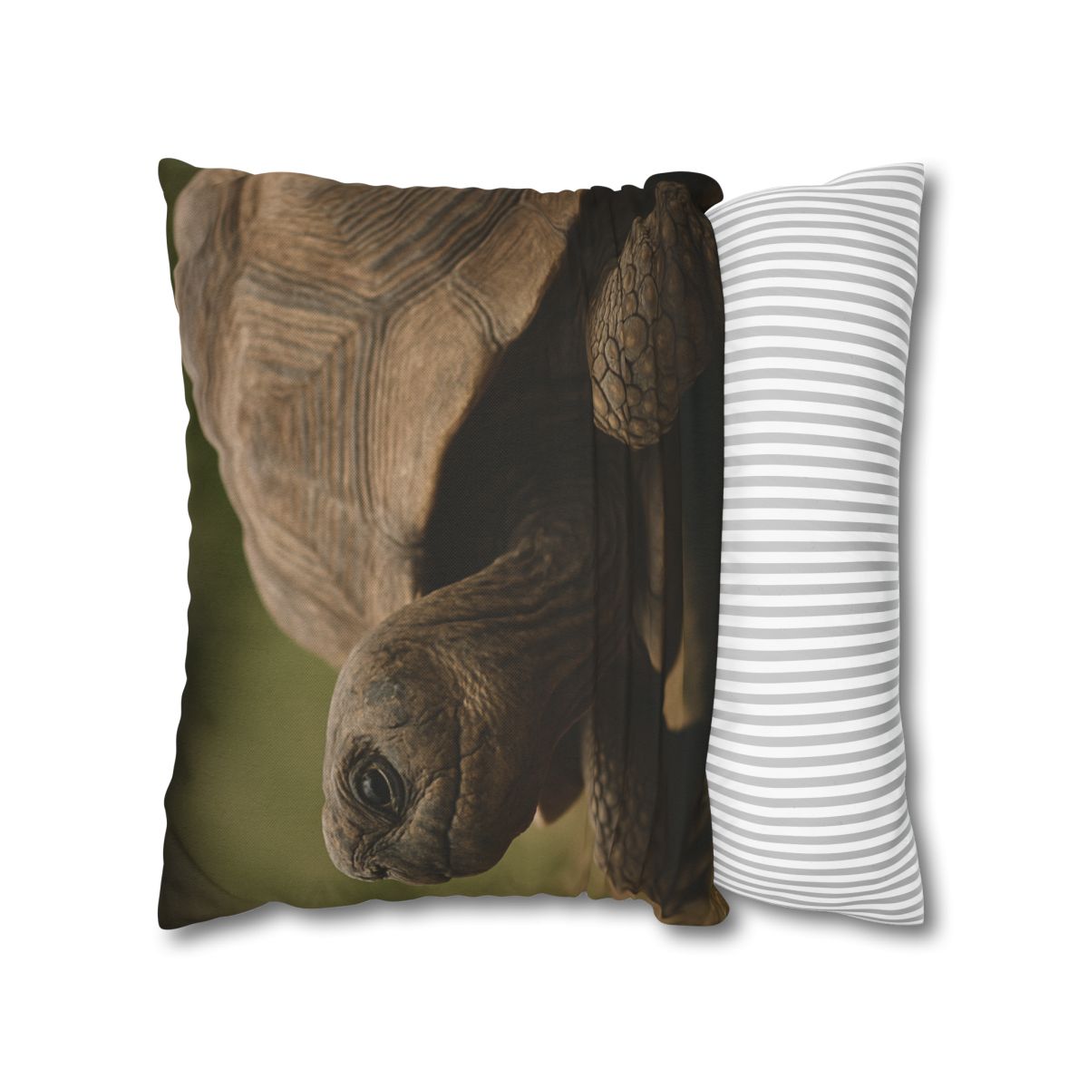 Giant Tortoise Timebound Gaze personalized pillow covers