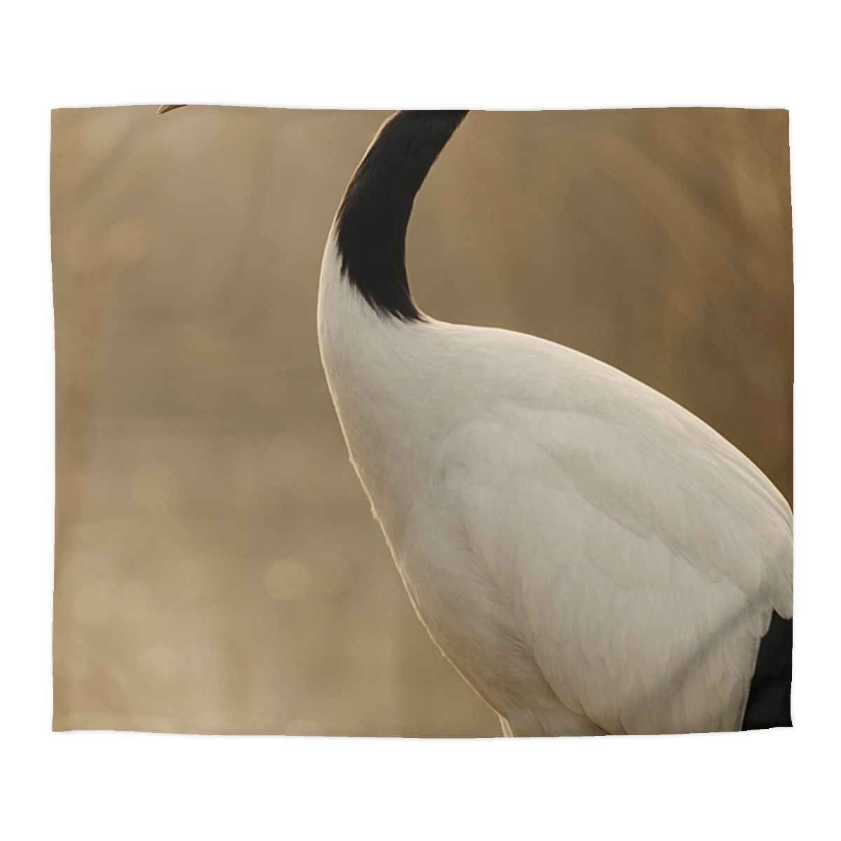 Silent Poise Red Crowned Crane soft comforter duvets