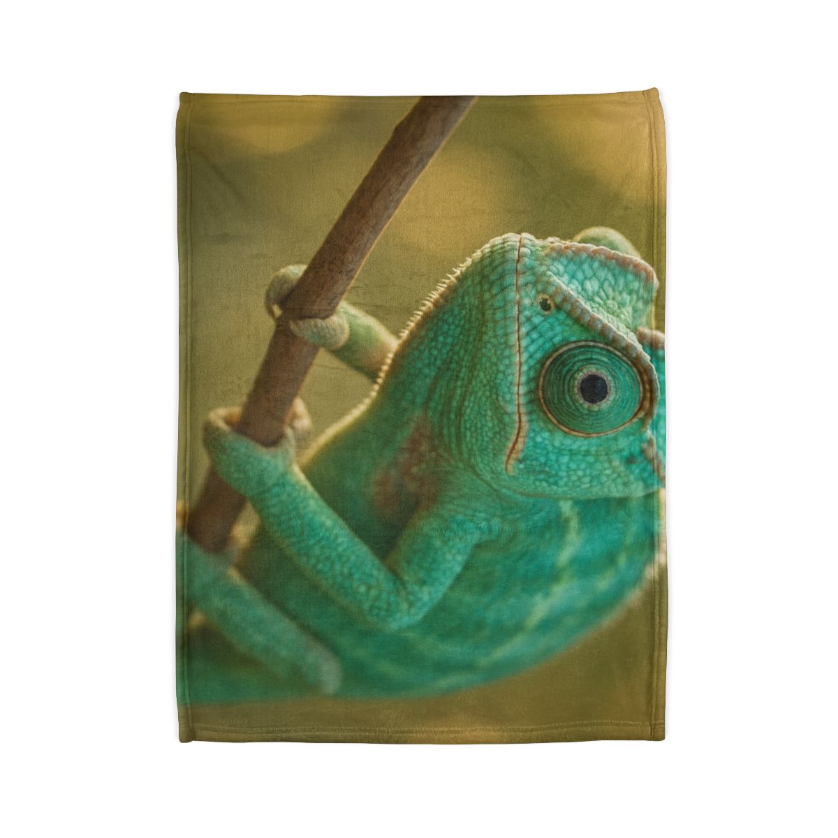 Prism Gaze Veiled Chameleon trendy patterned blankets