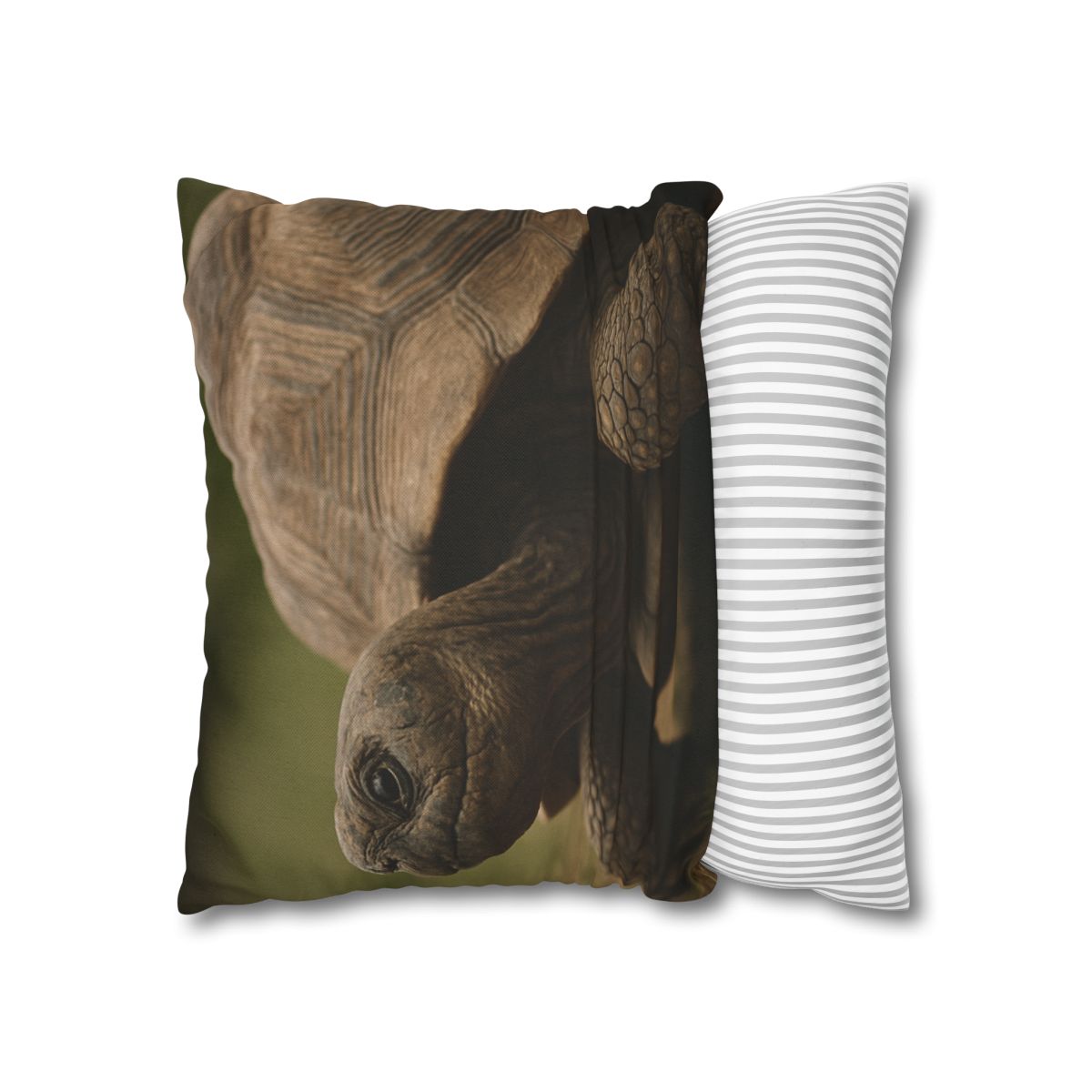 Giant Tortoise Timebound Gaze personalized pillow covers