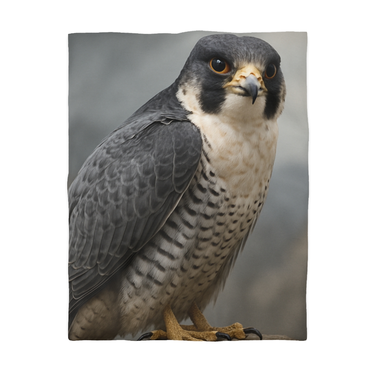 Starlit Focus Peregrine Falcon personalized bedding duvets