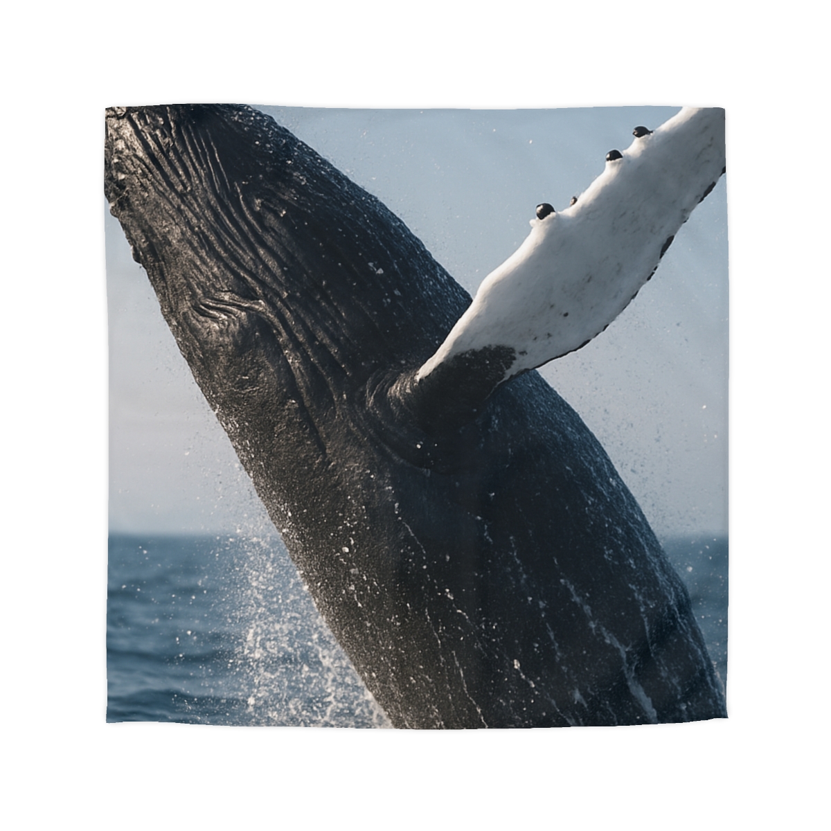 Tidal Song Humpback Whale trendy bedroom duvets