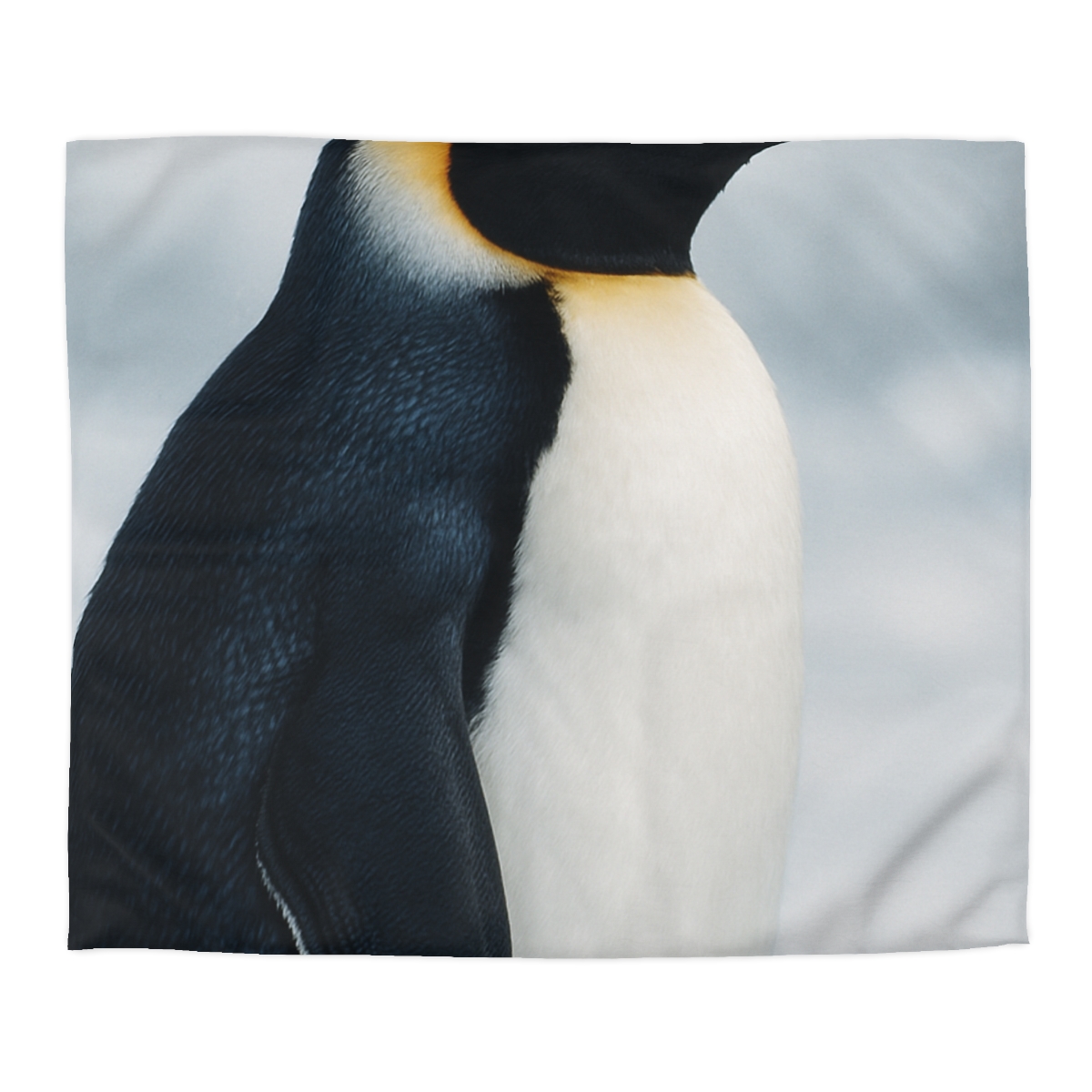 Aurora Drift Emperor Penguin stylish duvet covers