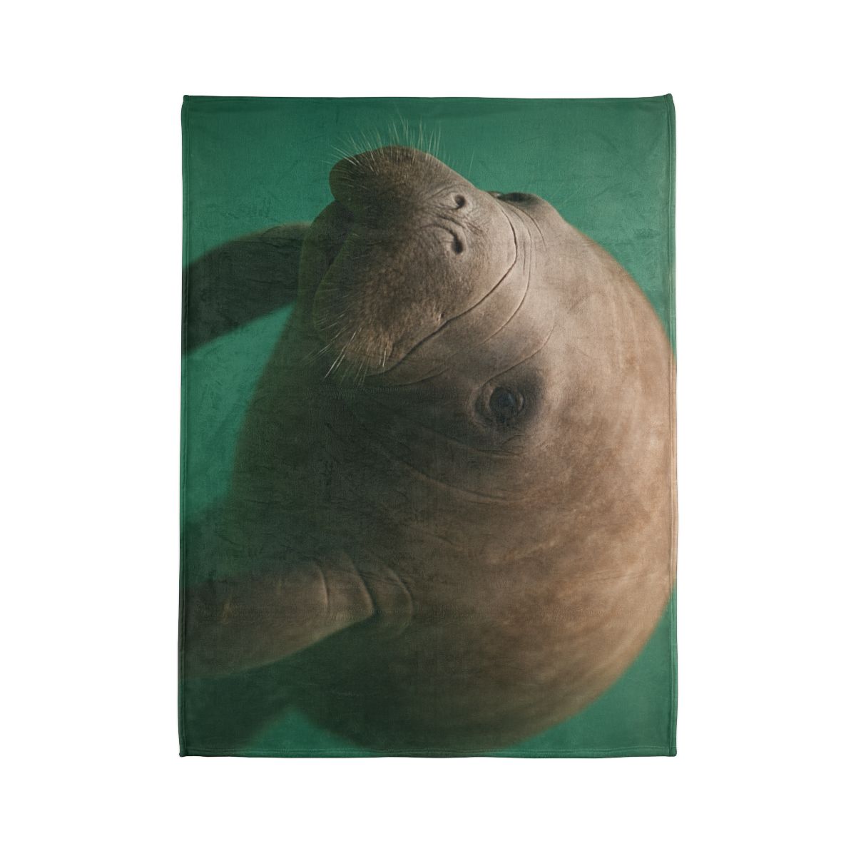 Glasswater Drifter West Indian Manatee stylish throw blankets