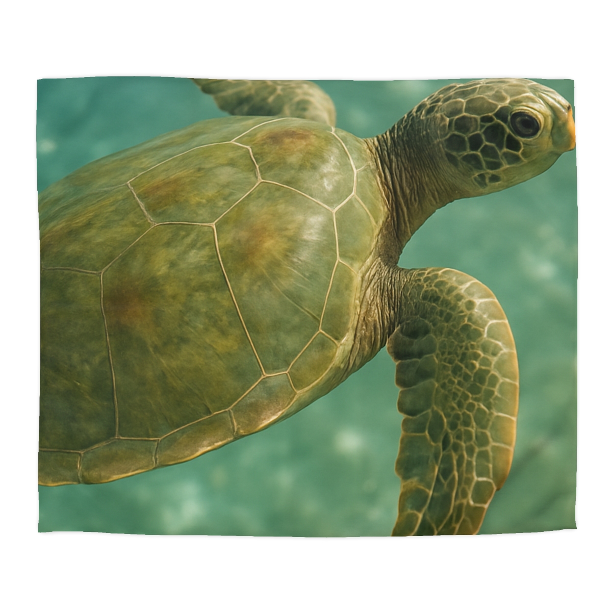 Sea Lantern Green Sea Turtle unique patterned duvets