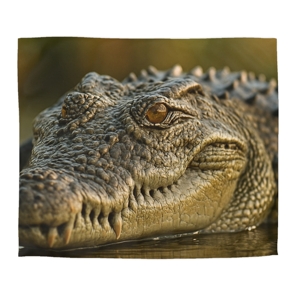 Ember Eye Saltwater Crocodile personalized bedding duvets