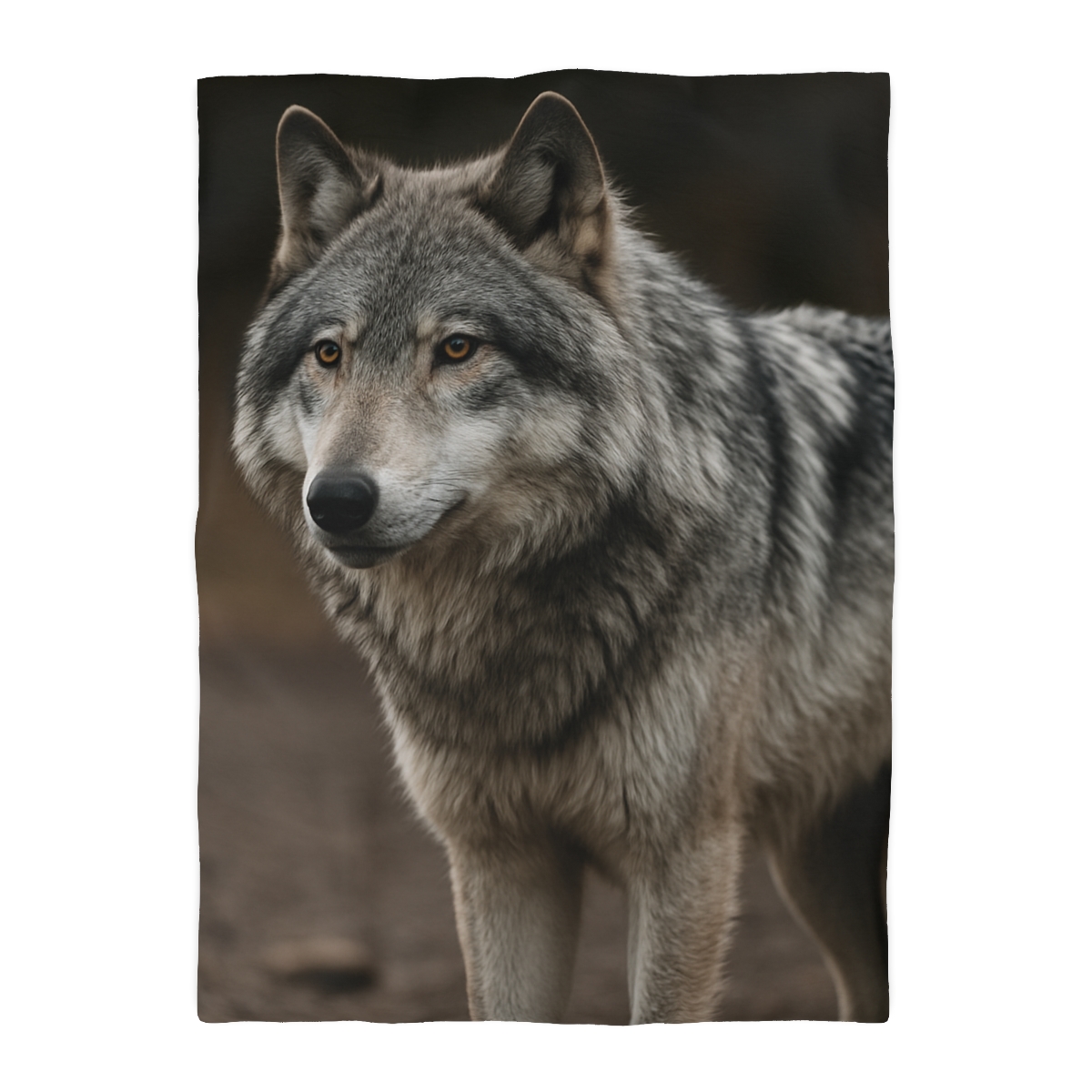 Silver Gaze Gray Wolf duvets for gifts