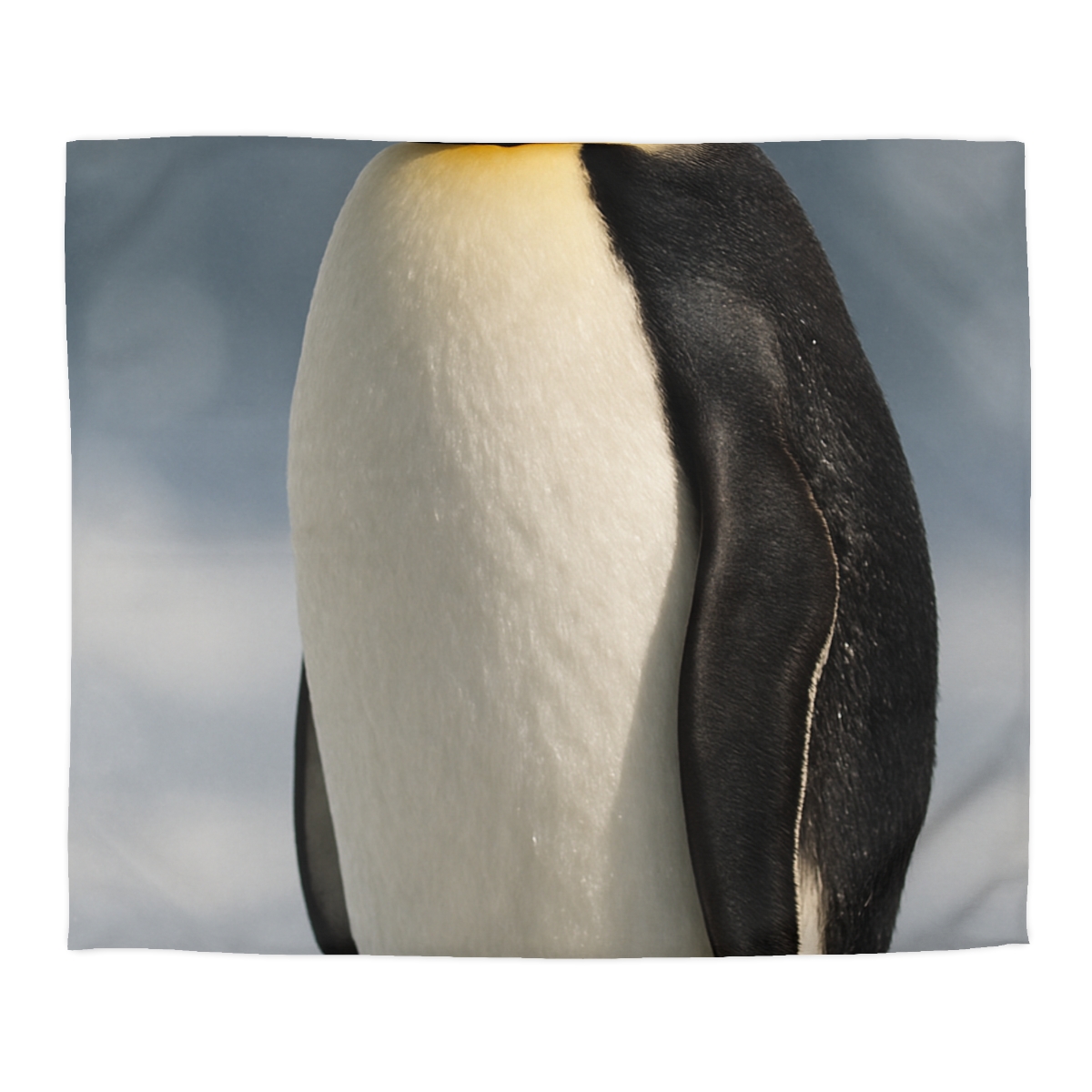 Aurora Drift Emperor Penguin stylish duvet covers