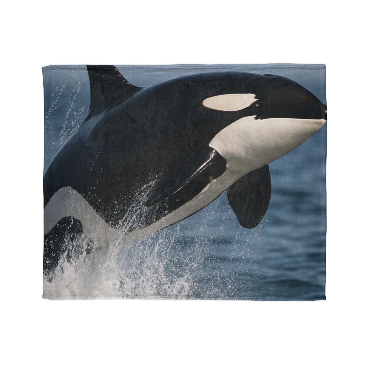 Tidal Monarch Orca soft fleece blankets