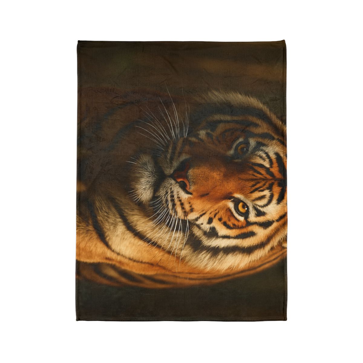 Amber Stalker Bengal Tiger designer printed blankets
