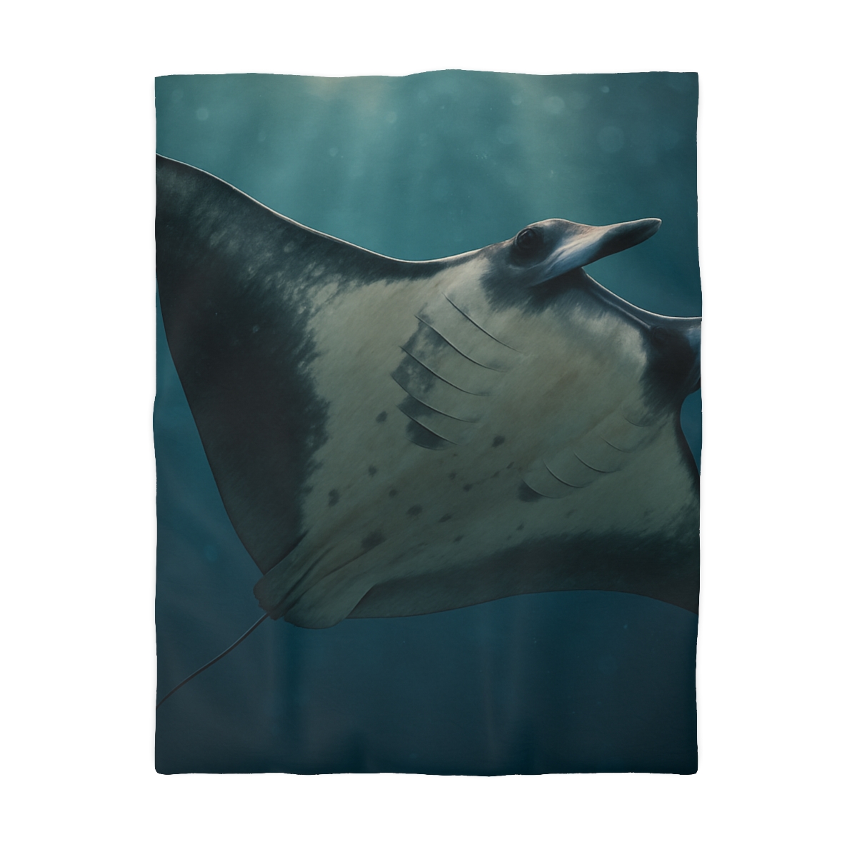Blue Halo Giant Manta Ray trendy bedroom duvets