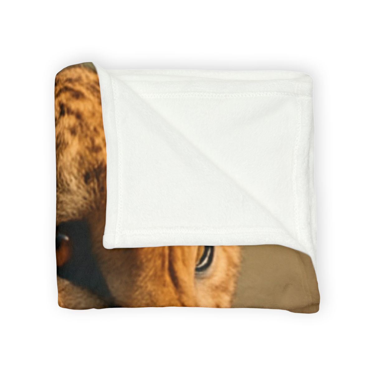 Wind Runner Cheetah designer printed blankets