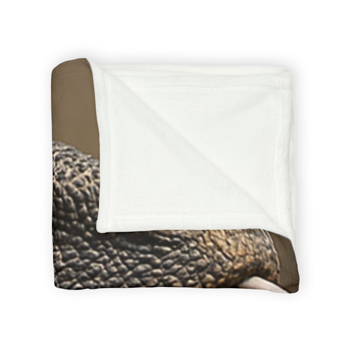 Ancient Sentinel Komodo Dragon decorative home blankets