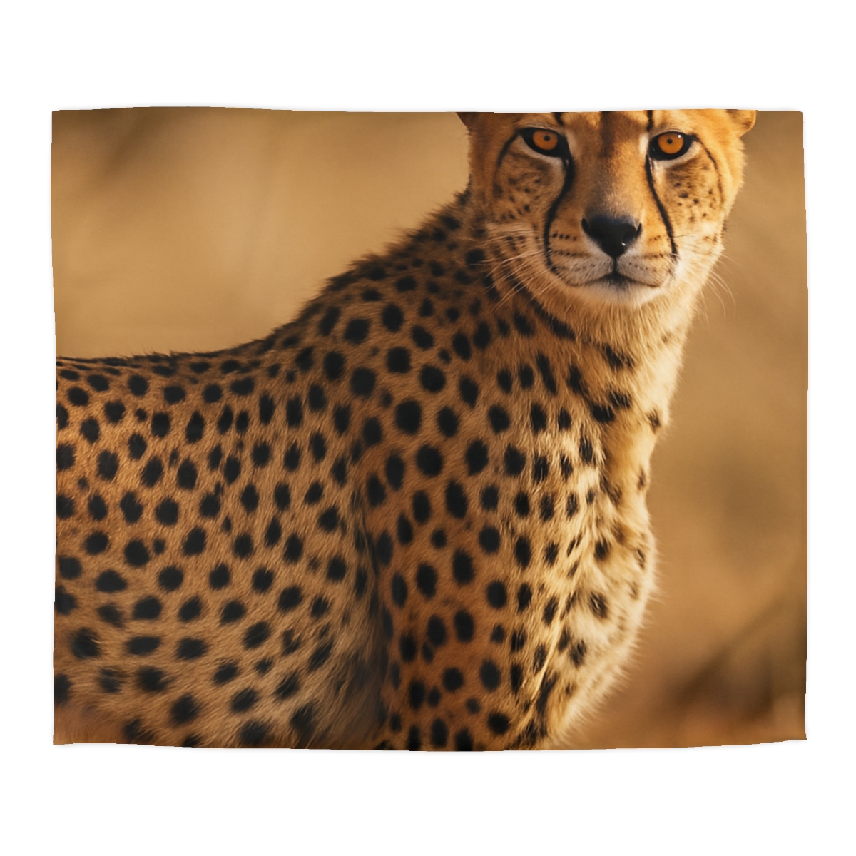 Cheetah Wind Runner stylish duvet covers
