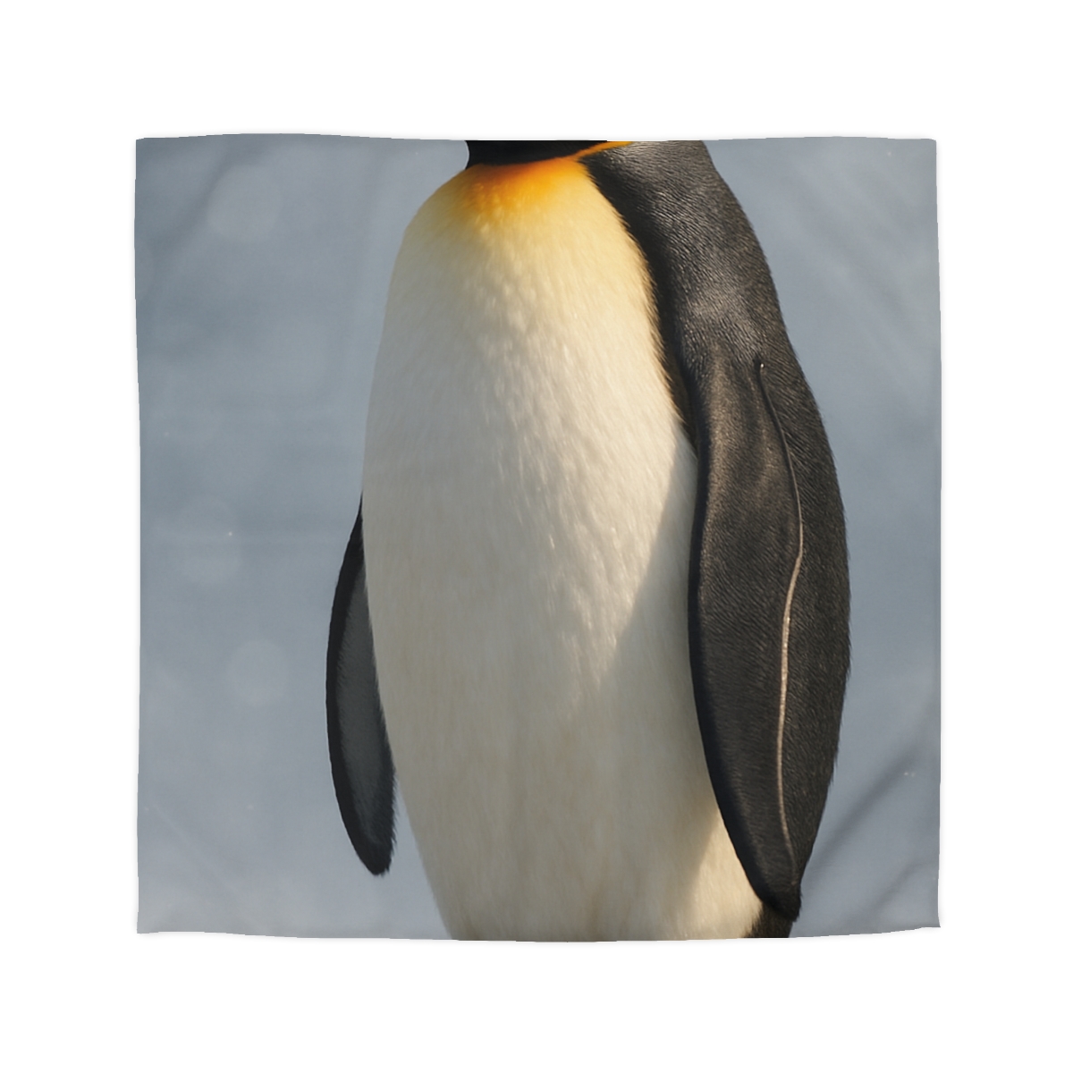 Aurora Poise Emperor Penguin duvets for gifts