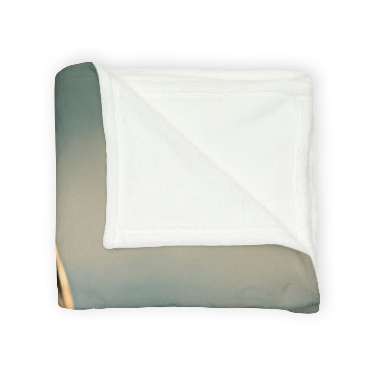 Luminous Gaze Harbor Seal stylish throw blankets