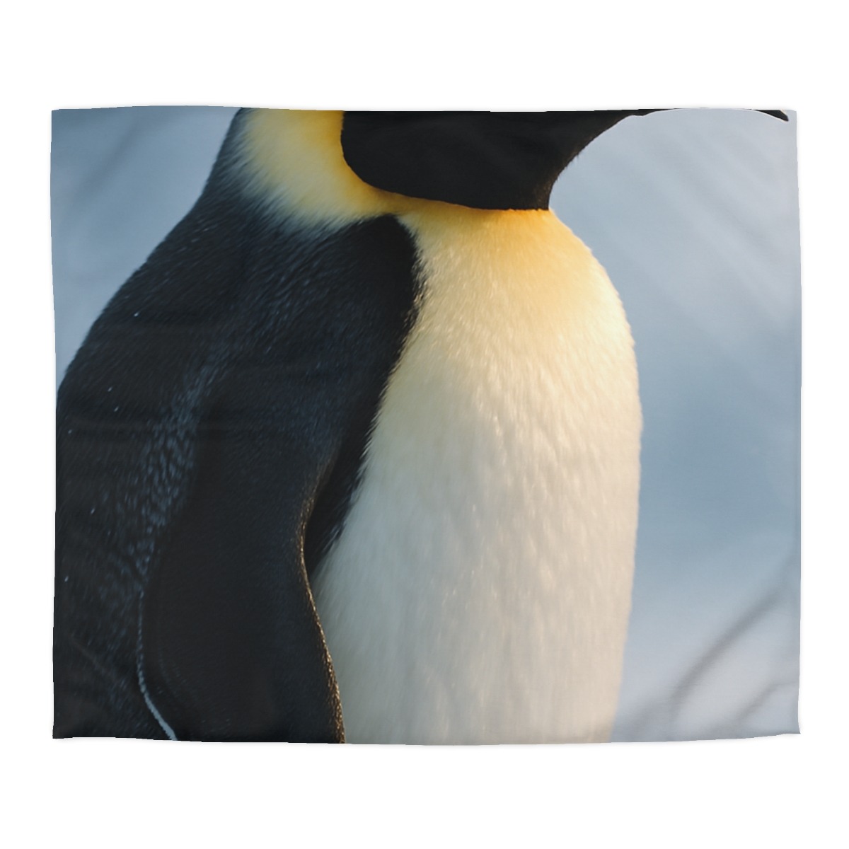Glacier Gaze Emperor Penguin stylish duvet covers