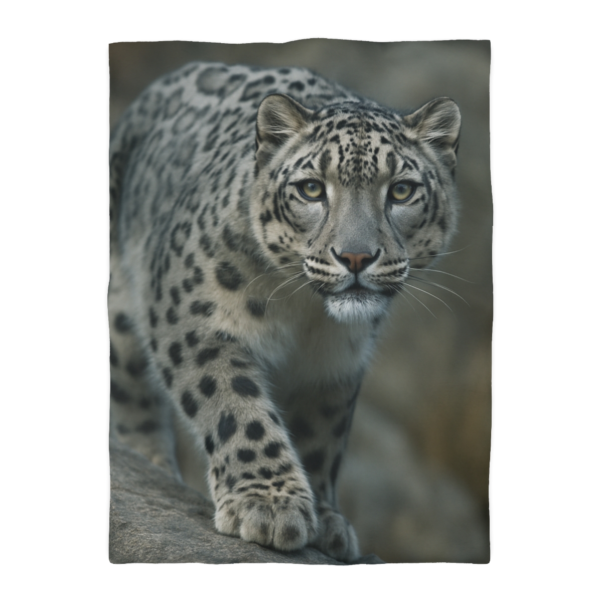 Starlit Sprint Snow Leopard soft comforter duvets