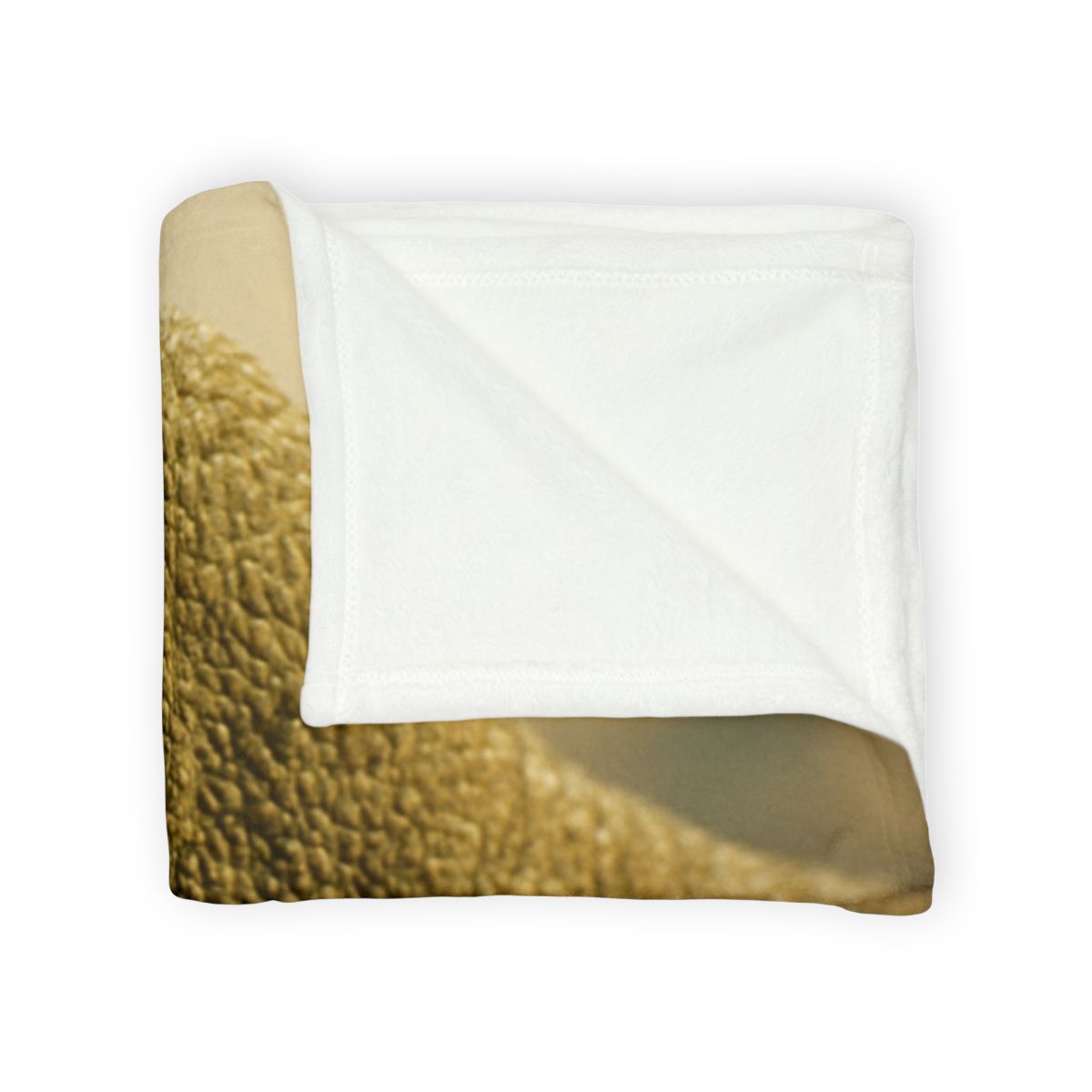 Ancient Sentinel Komodo Dragon decorative home blankets