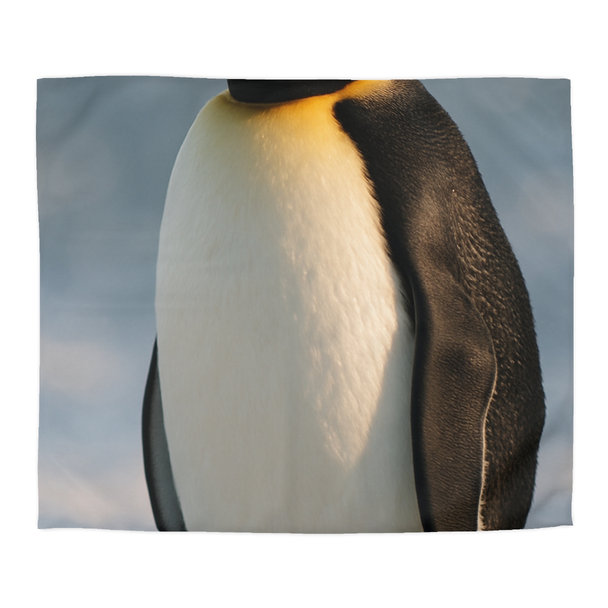 Aurora Drift Emperor Penguin unique patterned duvets