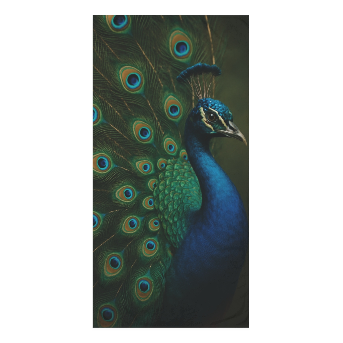 Feather Jewel Peacock decorative home towels