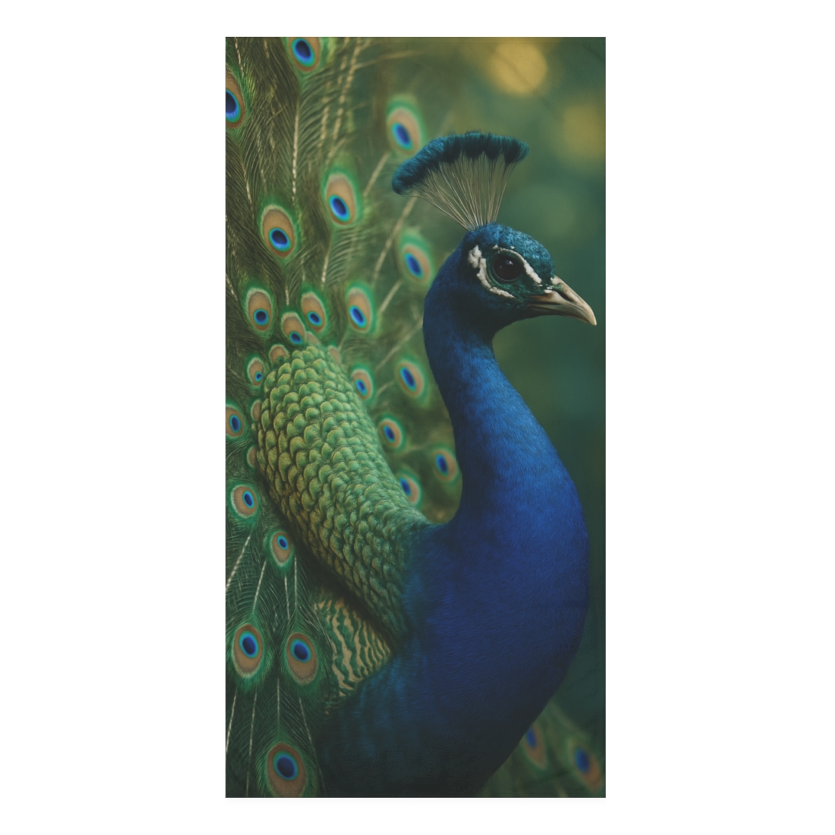 Feather Jewel Peacock unique gift towels