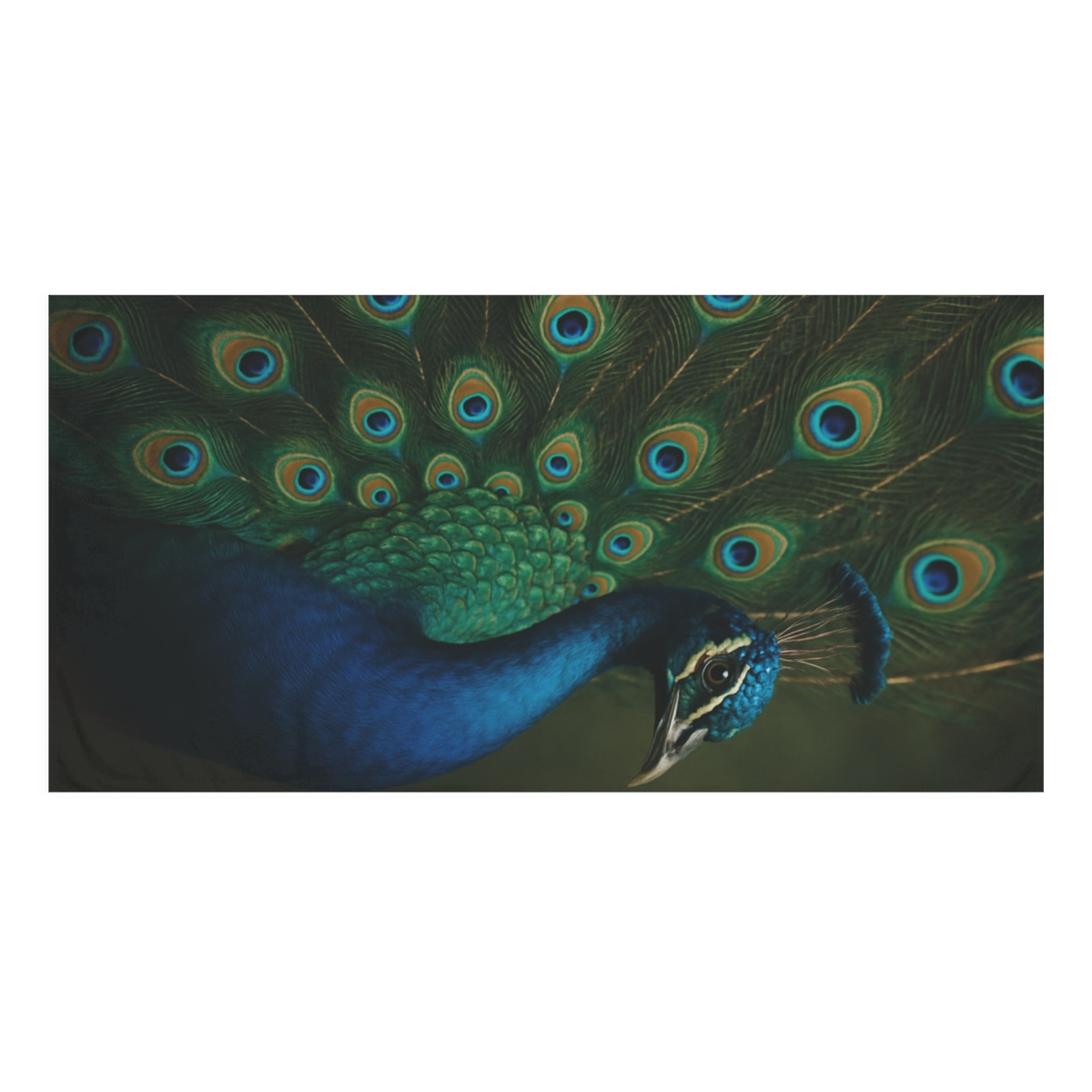 Feather Jewel Peacock decorative home towels