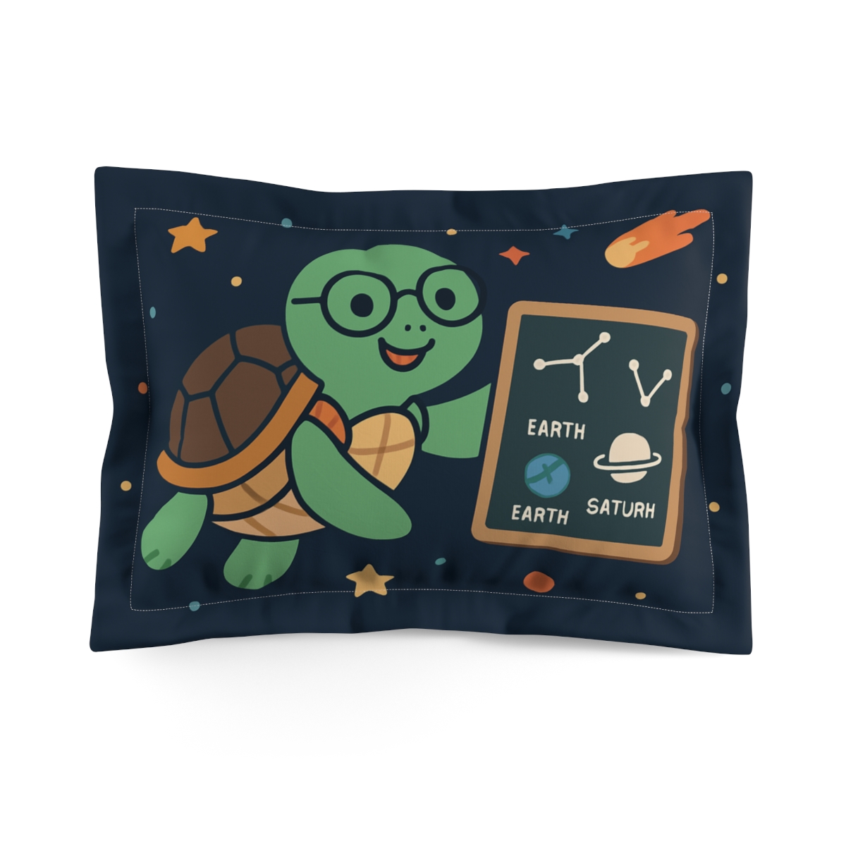 Comet Classroom Turtle stylish throw pillows