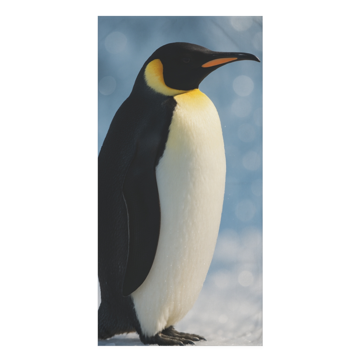 Frost Bloom Emperor Penguin soft cotton towels