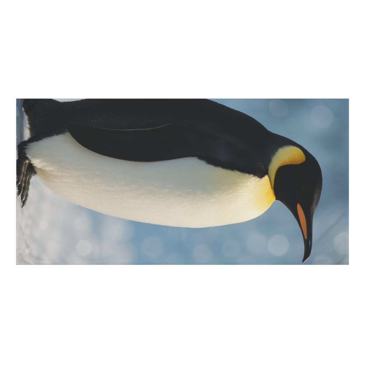 Frost Bloom Emperor Penguin soft cotton towels