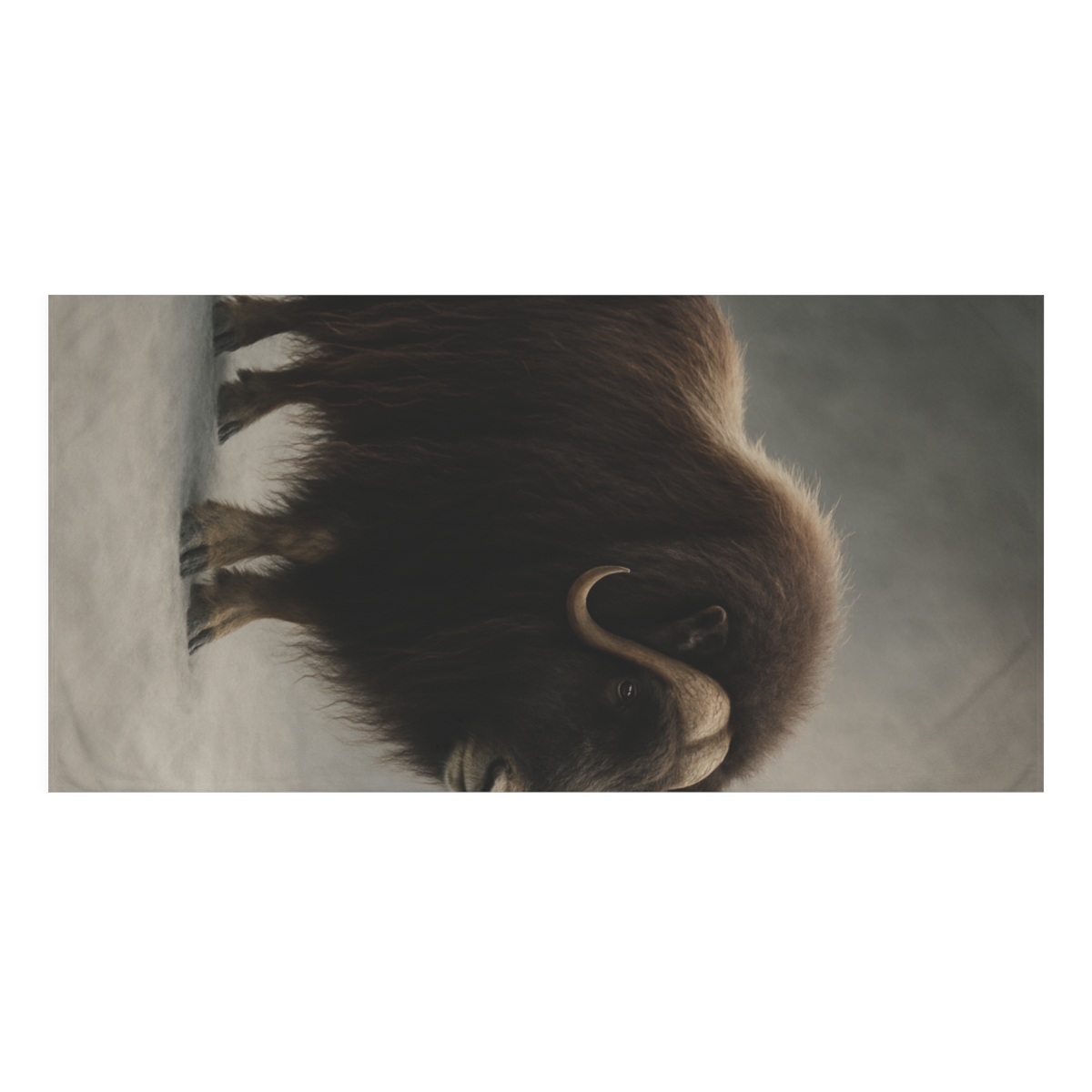 Frost Breather Musk Ox comfortable face towels