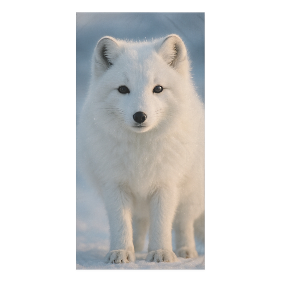 Frost Guard Arctic Fox soft cotton towels