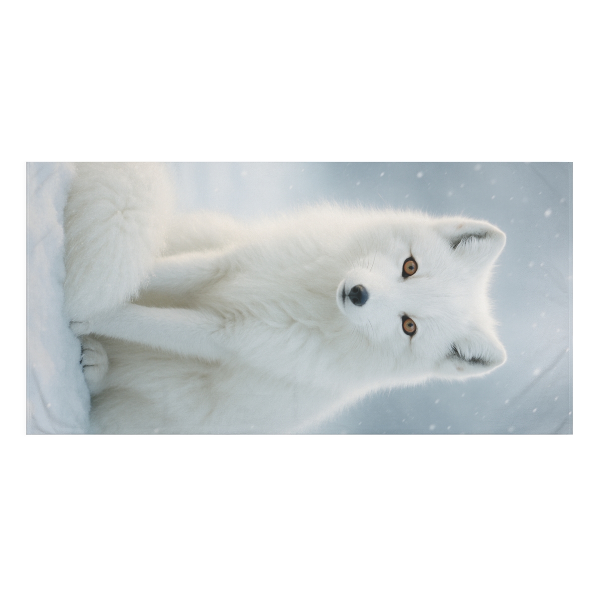 Frost Guardian Arctic Fox unique gift towels