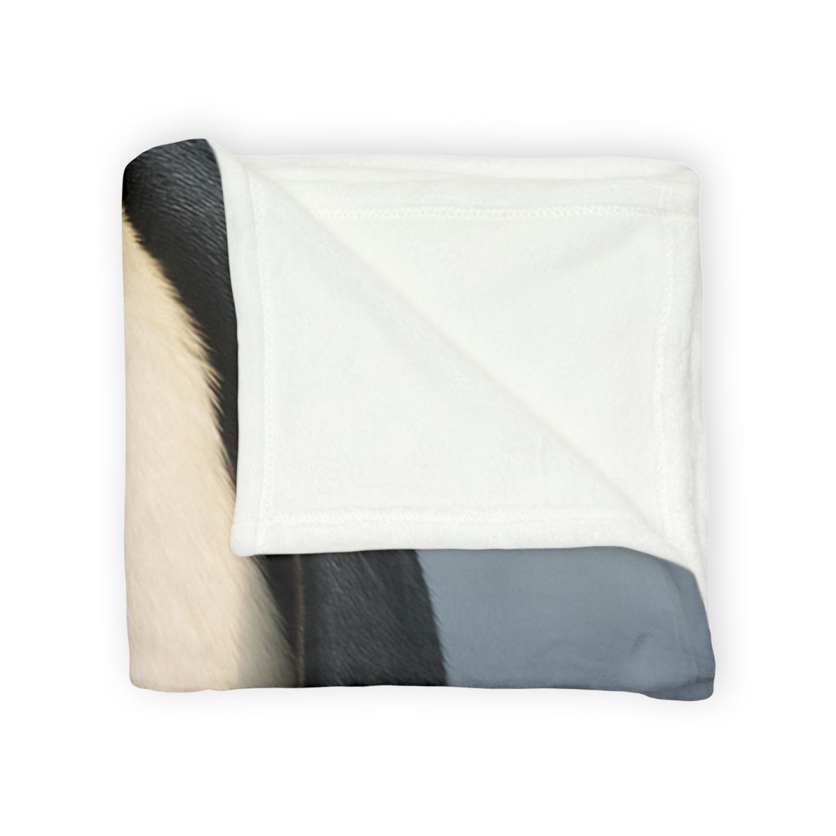 Frost Line Emperor Penguin trendy patterned blankets